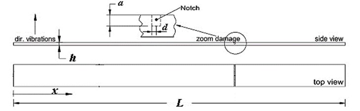 Layout of the numerical case study [16]