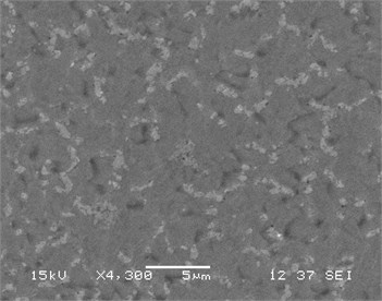 SEM of films (а, c) NiSi and (b, d) Ni(Pd)Si on (111)Si  at annealing temperatures T= 475 and 750 °С respectively
