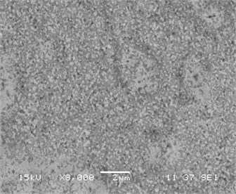SEM of films (а, c) NiSi and (b, d) Ni(Pd)Si on (111)Si  at annealing temperatures T= 475 and 750 °С respectively