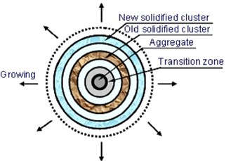 The schematic representation of hydration solidification