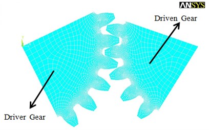 Finite element meshing model of one pair of the meshing planet gears p and d
