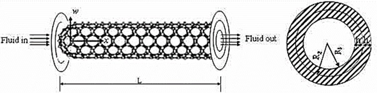 Fluid-conveying double-walled carbon nanotubes