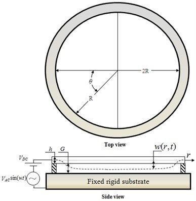 Schematic illustration showing electrostatic actuation of micro circular plate