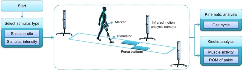 Experiment environment for gait analysis by applying somatosensory stimulus