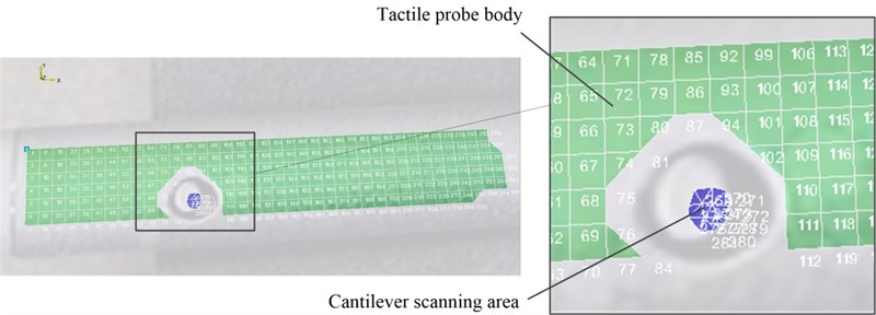Tactile probe body and cantilever scanning area