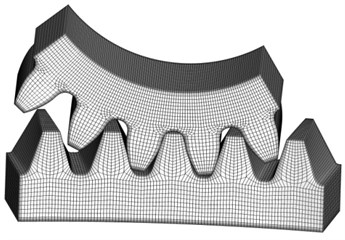 Finite element model of five pairs of teeth