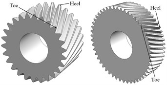 Models of involute beveloid gears