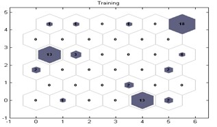 SOM topology of model training process