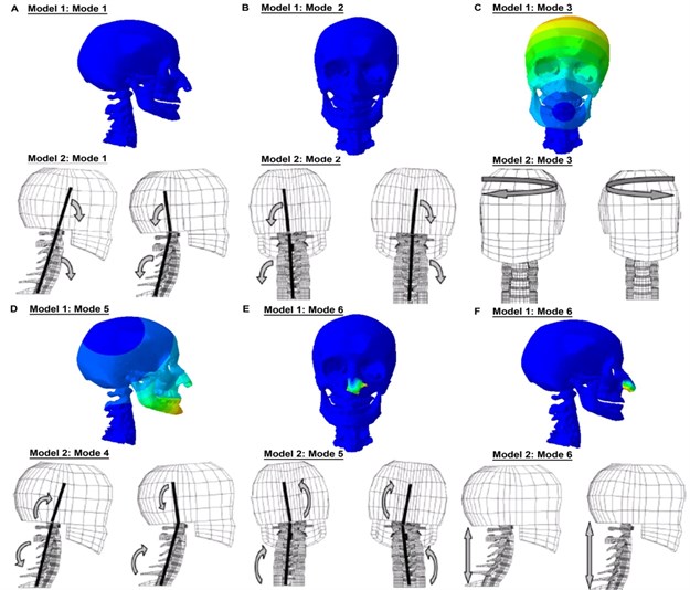 Comparison of the mode shapes with Meyer et al. [11]’s FE head-neck model