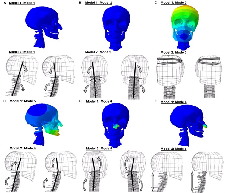 Comparison of the mode shapes with Meyer et al. [22]’s FE head-neck model