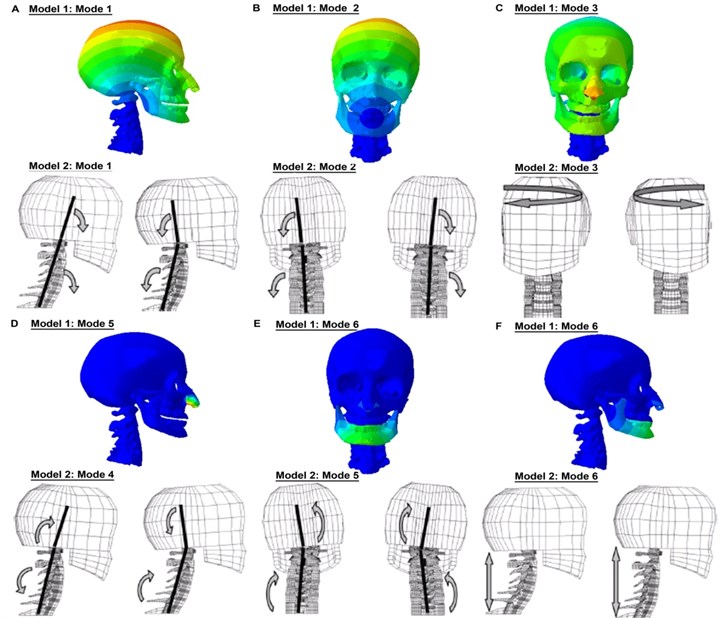 (Still Instance No. 2) Comparison of the mode shapes with Meyer et al. [22]’s FE head-neck model