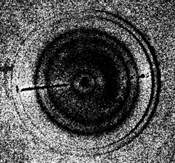 First vibration mode of vibroactive pad (f= 12.910 kHz; U= 3.5676 V)