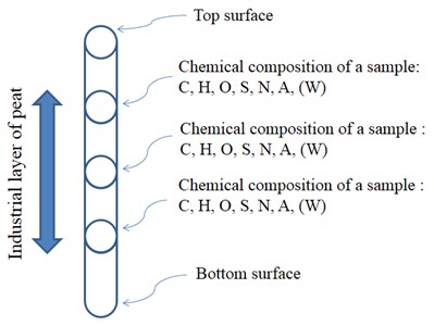 A schematic diagram of a bore and a points of sampling in a peatland