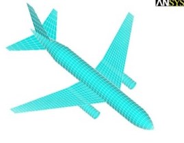 Dimensions and finite element model of the aircraft