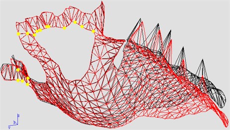 Deformation distribution under the first natural frequency