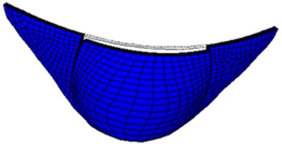 First-order mode shape of small numerical arch dam model