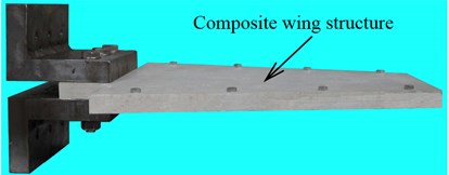 Photograph and schematic diagram of composite wing structure