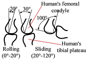 Kinematics difference between exoskeleton’s knee joint and human’s