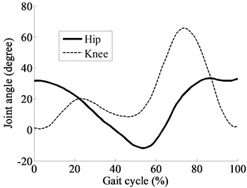 Human’s hip and knee joint angles