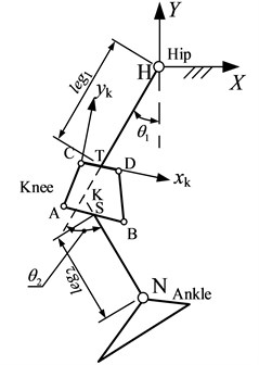 Kinematic model of the exoskeleton with four-bar linkage knee joint