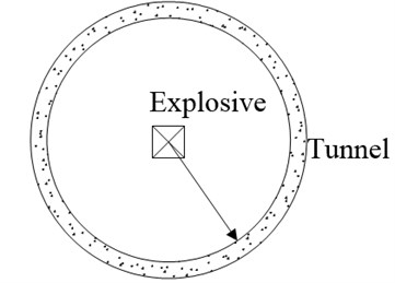 Tunnel cross-section (cm)