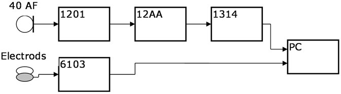 The block diagram of the measuring setup, where: 40 AF – G.R.A.S microphone,  1201 – NORSONIC preamplifire, 12AA – G.R.A.S amplifire, 1314 – M-AUDIO IN/OUT chart, 6103 – KAYELEMETRICS Electroglottograph (EGG), PC – computer with Adobe Audition 3.0 software