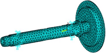 The finite element model of spindle system