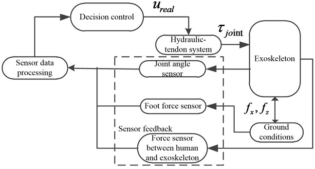 Control system architecture of the exoskeleton