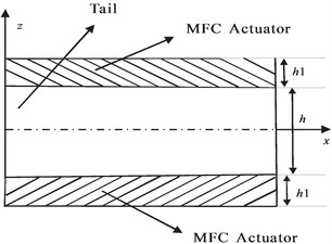 Schematic diagram of the tail with MFC