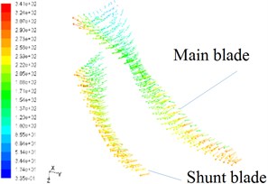 Velocity vectors on blade surfaces