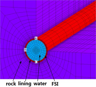 Local finite element model and monitoring points