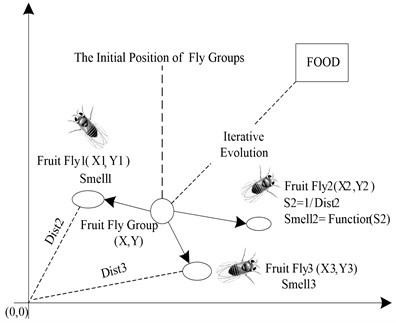 Food finding iterative process of fruit fly swarm