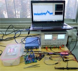 Micro resonant gas sensor and its test system