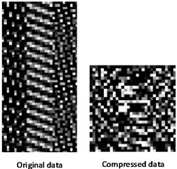 Measurement matrix and data compression