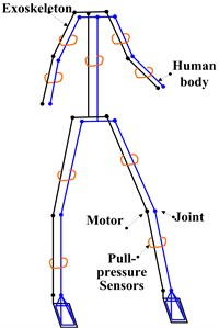 Man-machine coupling schematic diagram of human extremity exoskeleton