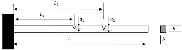 A cantilever Euler-Bernoulli beam with double cracks