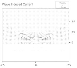 Computed wave-induced current fields
