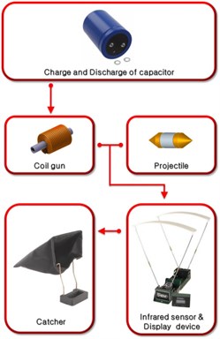 Flow chart of the experiment