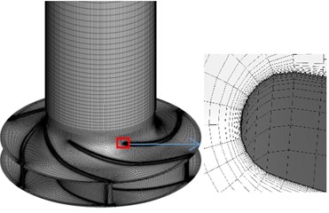 Computational mesh for the investigated pump