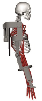 Mechanical structure of the exoskeleton: a) Schematic and degrees of freedom, b) back and  c) side view of the exoskeleton fitted to the human arm model, d) the exoskeleton  and the human arm when the elbow is in a 90 degrees position
