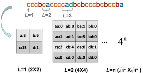 The intelligent icons of the string S= cccbcaccccadbcbcccbcbccba;  the frequencies and the subwords for L= 1, L= 2 and L=n