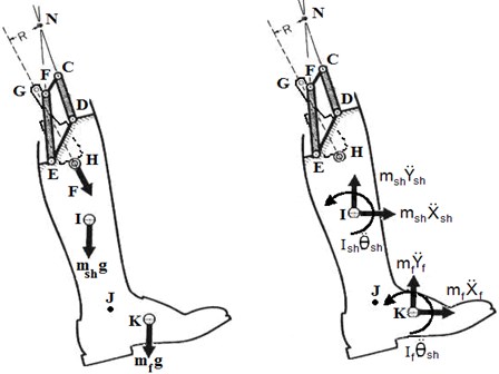 The external and effective forces of artificial leg during swing phase