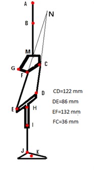 Model of artificial leg  and knee four bar mechanism