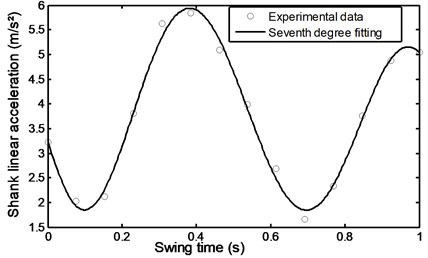 Linear acceleration of the  shank during stairs ascent