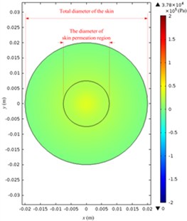 Simulated acoustic pressure distribution at V0p= 40 V: a) acoustic pressure distribution  in the Franz diffusion cell; b) acoustic pressure distribution at the upper surface of the skin  in the donor; c) acoustic pressure distribution at the lower surface of the skin in the receptor;  d) acoustic pressure distribution on the parallel plane at the liquid draw-off position