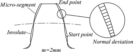 The geometric models for both micro-segment gear and standard involute gear