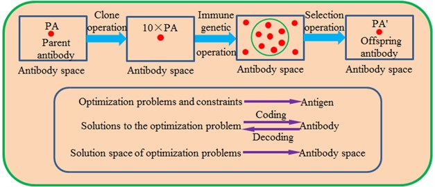 Topological structures of the traditional immune algorithm