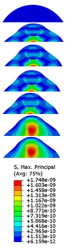 Stress contours of the cell under 0.3g acceleration for different frequencies  and in X-direction, Y-direction and Z-direction