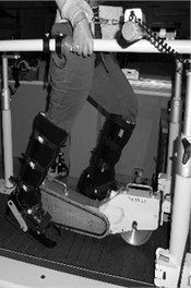 Lower limb power-assisted device