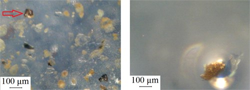 The morphology of lubricant specimen of silica A